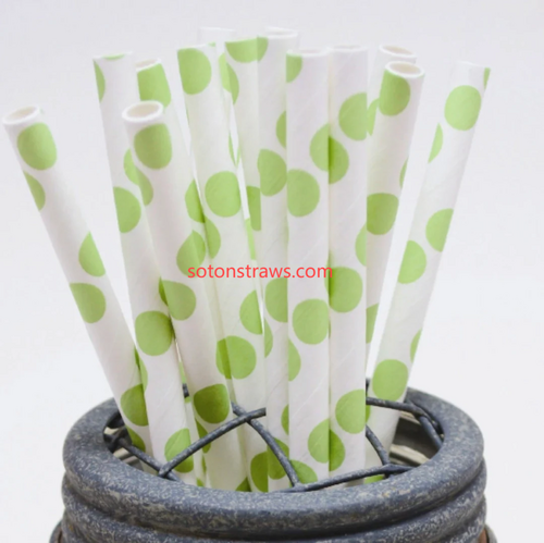 Soton Elevates Eco-friendly Straws Social Moments