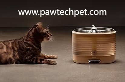 Beijing Intelligent Pet Water Dispenser in Shared Living Spaces